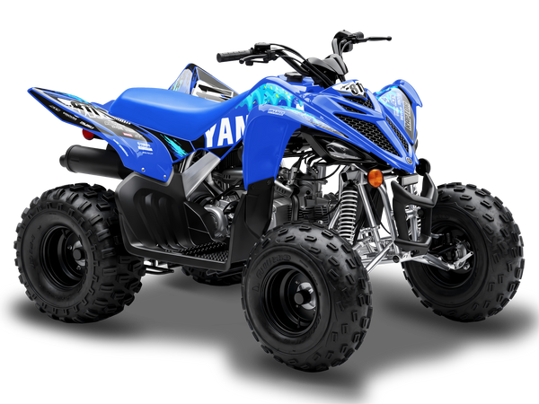Yamaha Yfz110 Graphics - Ace Doeys