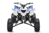 Yamaha YFZ450 Graphics Kit - Raced