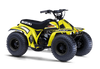 Suzuki LT50 ATV Graphics - Shards