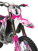 Triumph Racing Graphics Kit - Whaka Pink