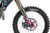 Triumph Racing Graphics Kit - Ice Pink