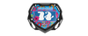 Box BMX Number Plate Graphics - Doeys Blue