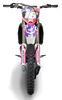 Honda Graphics Kit - Racer Portyl Pinks