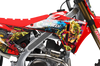 Honda Zombie Graphics Kit - Bimbo betty