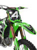 Kawasaki Graphics Kit - VIPER