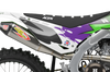 Kawasaki Graphics Kit - Flashback