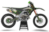 Kawasaki Graphics Kit - Golden Eagle