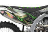 Kawasaki Graphics Kit - Golden Eagle