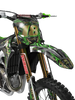 Kawasaki Graphics Kit - Golden Eagle