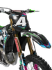Kawasaki Graphics Kit - Envie