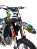 Kawasaki Zombie Graphics Kit - Gas Gut
