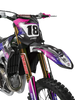 Kawasaki Graphics Kit - Loaded