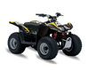 Suzuki LTZ50 ATV Graphics - Flick