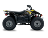 Suzuki LTZ50 ATV Graphics - Flick