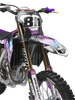 Triumph Racing Graphics Kit - Damed Purple