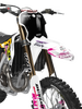 Triumph Racing Graphics Kit - Flashback