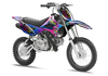KLX110 Graphics Kit - Explode