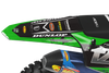 Kawasaki Graphics Kit - Salty Snake
