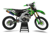 Kawasaki Graphics Kit - Salty Snake