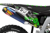 Kawasaki Graphics Kit - Killer Croc
