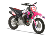 Crf110 Graphics Kit - Galaxy Dart