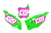 Kawasaki Number Background Decals - States