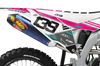 Kawasaki Graphics Kit - Herman Pink