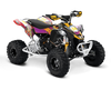 Can-am ATV - Fire