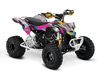 Can-am ATV - Explode