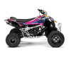 Can-am ATV - Explode