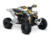 Can-am ATV - Plash