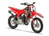 Crf110 Graphics Kit - Racing Woody