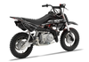 Honda Crf50 Graphics Kit - Fasthouse