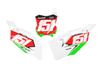 Kawasaki Number Background Decals - Minute