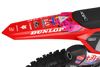 Honda Graphics Kit - Doeys