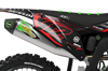 Kawasaki Graphics Kit - Lion Red