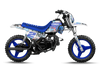 Pw50 Graphics Kit - Skull