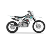 Honda Crf125f Graphic Kit - Ceo Teal