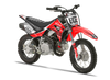 Crf110 Graphics Kit - Fasthouse