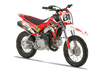 Crf110 Graphics Kit - Ace Red