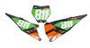KTM Number Background Decals - Flux
