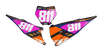 KTM Number Background Decals - Flux