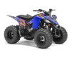 Yamaha YFZ50-90 Graphics - Wild Roo