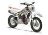 Crf110 Graphics Kit - Rex Zombie