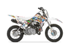Crf110 Graphics Kit - Rex Zombie