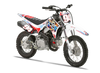 Crf110 Graphics Kit - Rex Zombie Blood