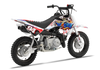 Crf50 Graphics Kit - Rex Zombie Blood