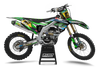 Kawasaki Graphics Kit - Moa