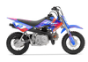 Crf50 Graphics Kit - Palms