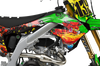 Kawasaki Zombie Graphics Kit - Raging Bull